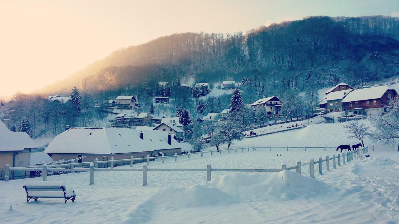 Farm Stay Zevnik Brežice Exterior foto